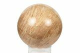 Polished Peach Moonstone Sphere - Madagascar #252034-1